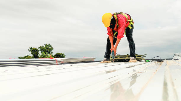 Best Green or Eco-Friendly Roofing Solutions  in Morrisonvle, IL