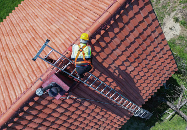 Best Sheet Metal Roofing  in Morrisonvle, IL